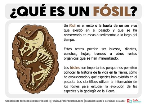 significado de fosil.